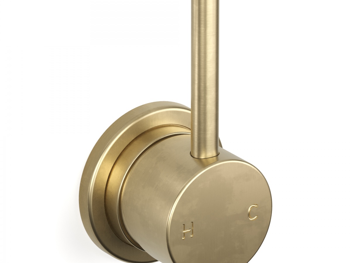 30641_raw-brushed-brass