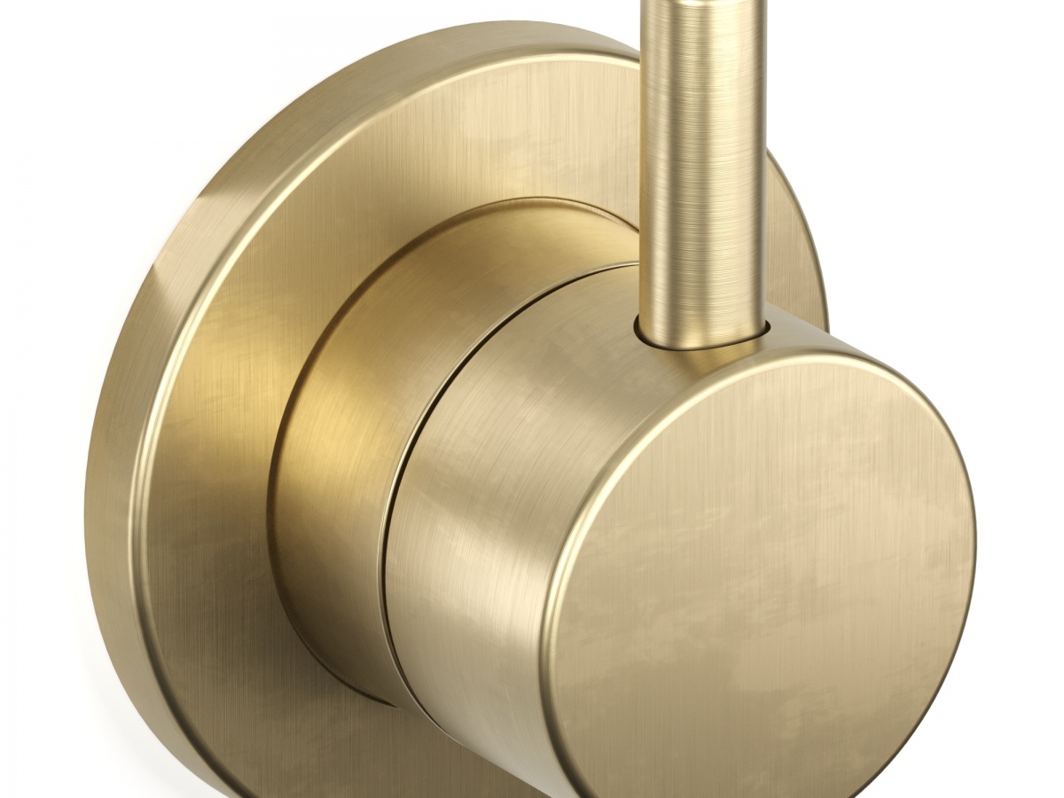 30736_raw-brushed-brass